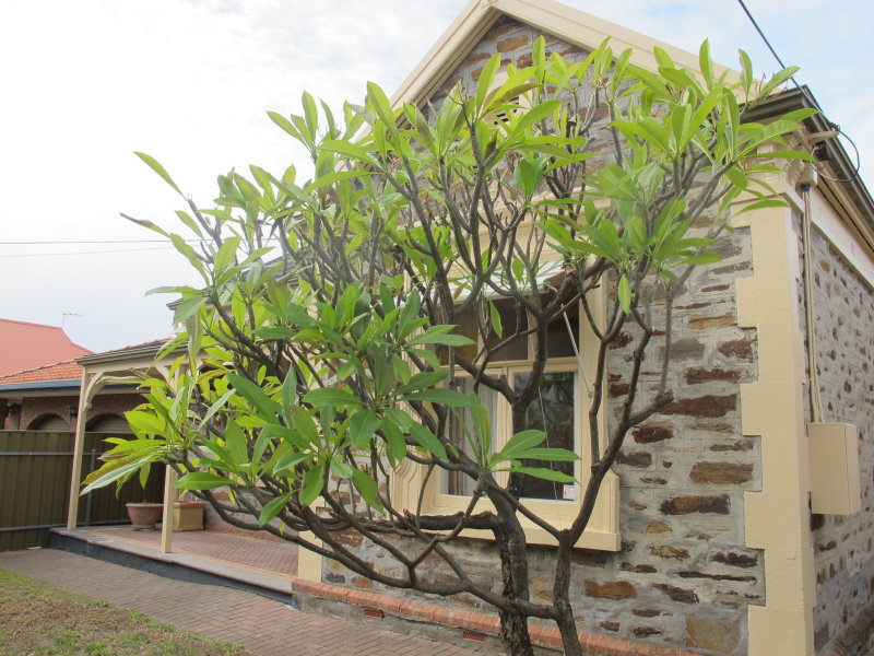 8 Queen Street, NORWOOD — image 2