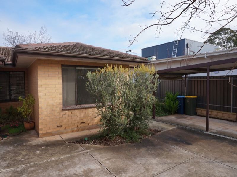 4/8 Hampstead Avenue, HIGHGATE — image 13