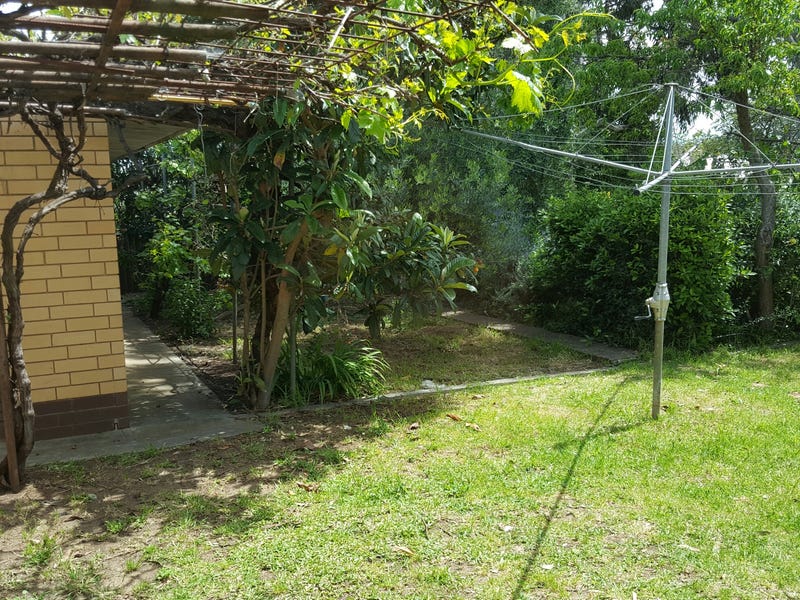 27 Birnie Avenue, KENSINGTON PARK — image 5