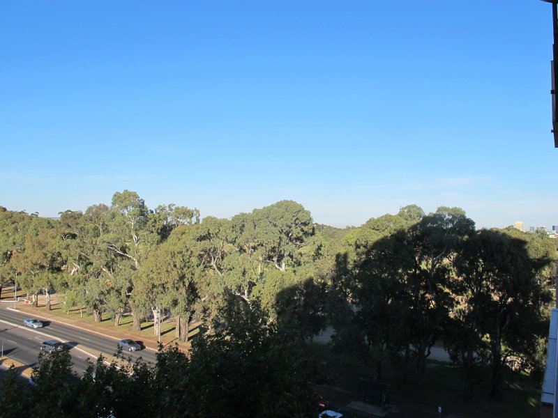 506/160 Fullarton Road, ROSE PARK — image 5