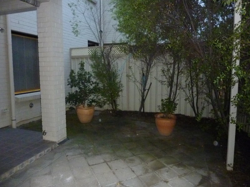 9 Cedar Crescent, GLENSIDE — image 18