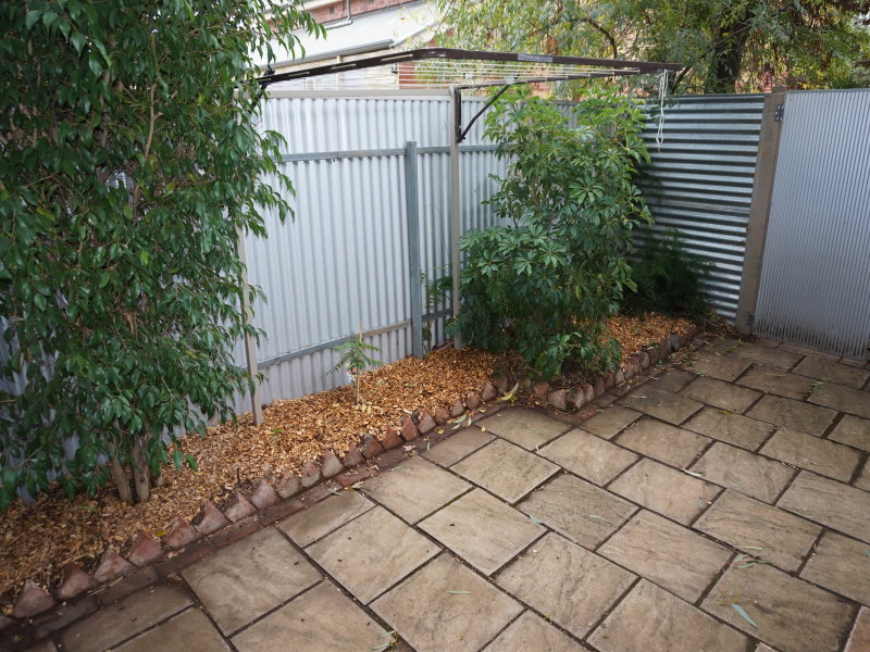 18 Little Wakefield Street, KENT TOWN — image 9