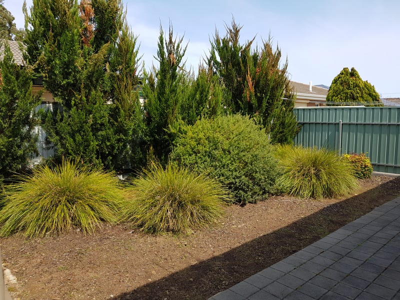 50B Sixth Avenue, ASCOT PARK — image 13