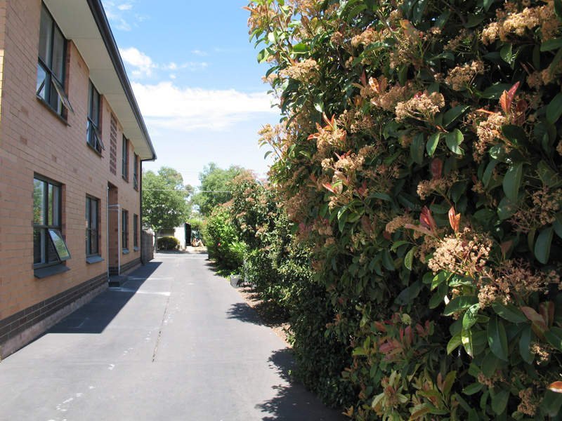 4/50 Rose Street, PROSPECT — image 4