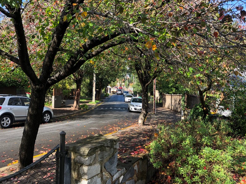 17 Gertrude Street, NORWOOD — image 19