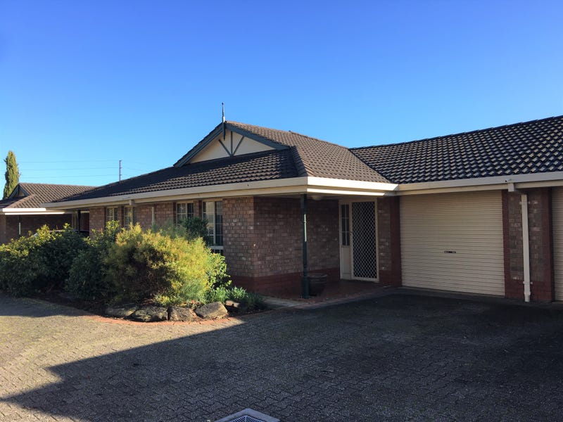 5/3 Beryl Avenue, NEWTON — image 1