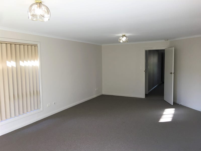 5/3 Beryl Avenue, NEWTON — image 7