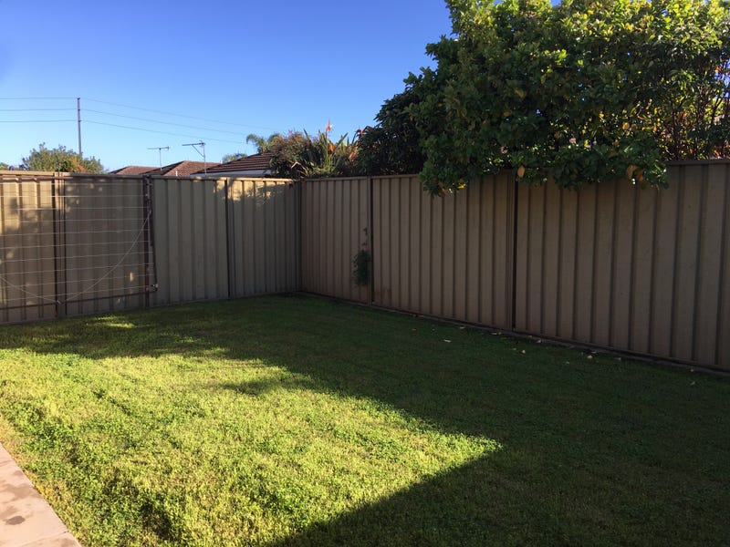 5/3 Beryl Avenue, NEWTON — image 9