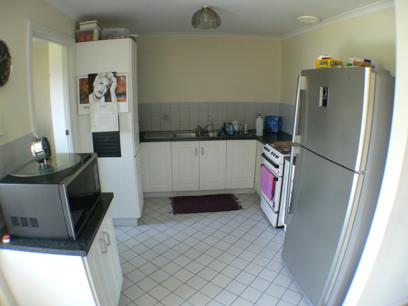 4/3 Beryl Avenue, NEWTON — image 5