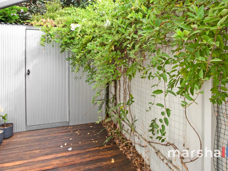 19 Wellington Street, KENSINGTON — image 23