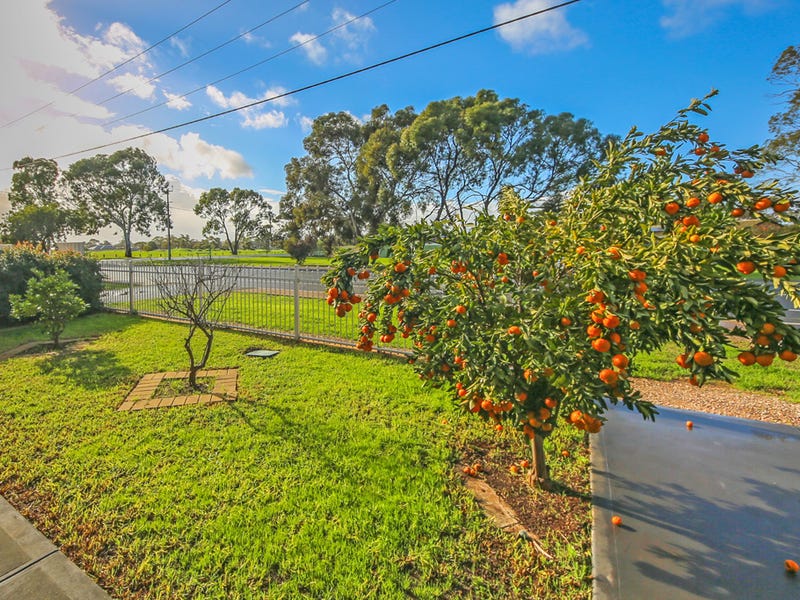 649 Stebonheath Road, ANDREWS FARM — image 18