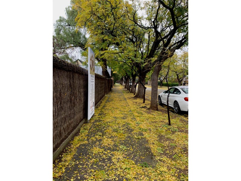 2 Durdin Road, HAWTHORN — image 22