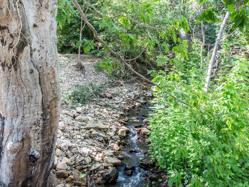 63 Waterfall Gully Road, WATERFALL GULLY — image 16