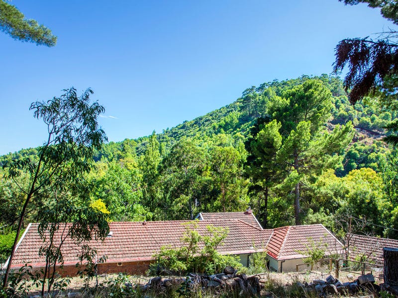 63 Waterfall Gully Road, WATERFALL GULLY — image 24