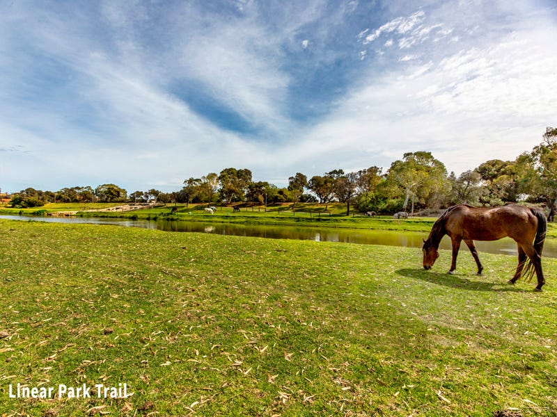3 Opie Street, WEST BEACH — image 3