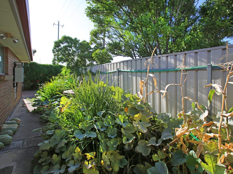 8/1205 Grand Junction Road, HOPE VALLEY — image 11