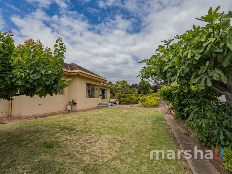 13 Hamilton Street, ERINDALE — image 20