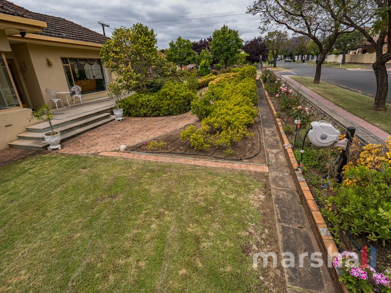 13 Hamilton Street, ERINDALE — image 21