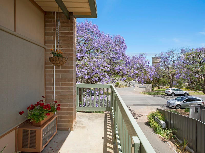 8/16 L'Estrange Street, GLENSIDE — image 5