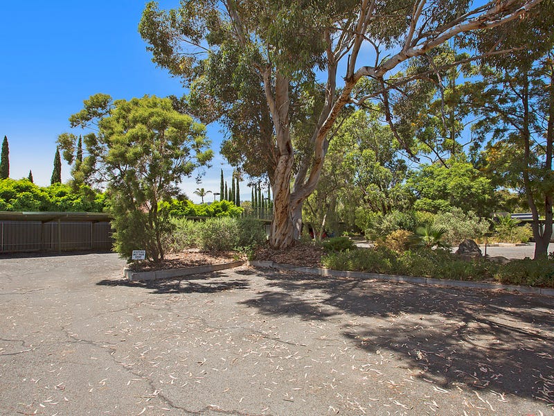8/16 L'Estrange Street, GLENSIDE — image 14