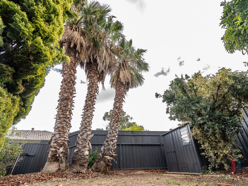 38 Marian Crescent, HILLBANK — image 23