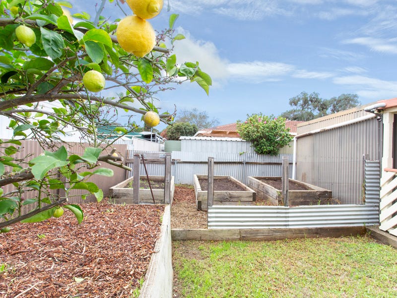 7 Raphael Crescent, MORPHETT VALE — image 16
