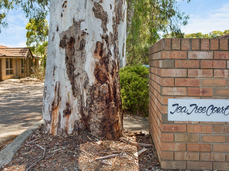 4/14 Crozier, MODBURY — image 3