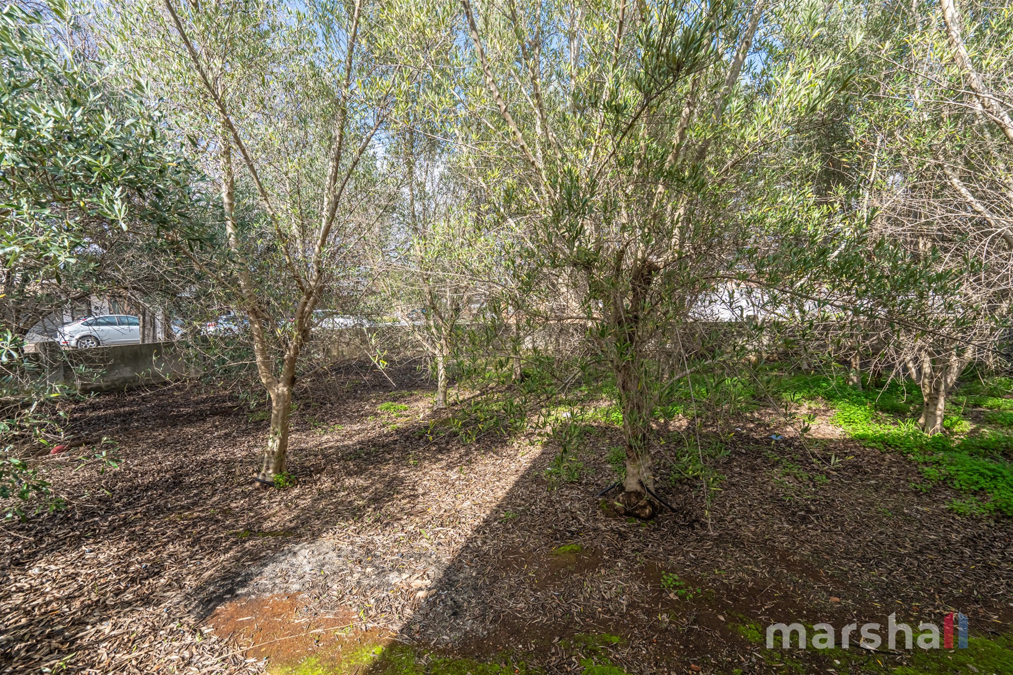 81 Gage Street, FIRLE — image 15