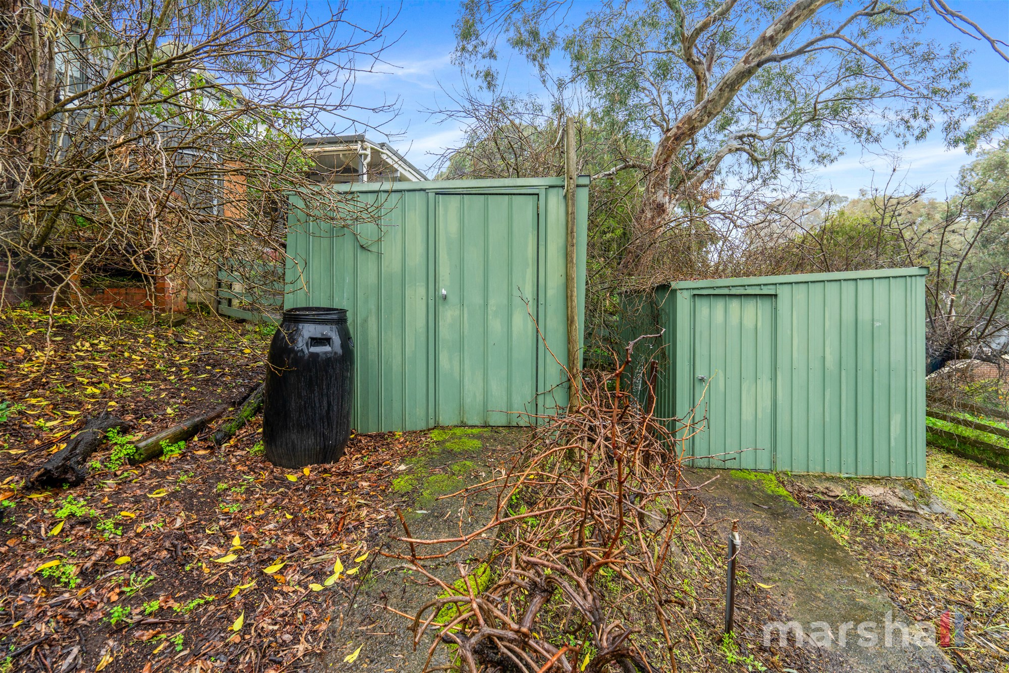 25 Diosma Drive, COROMANDEL VALLEY — image 33