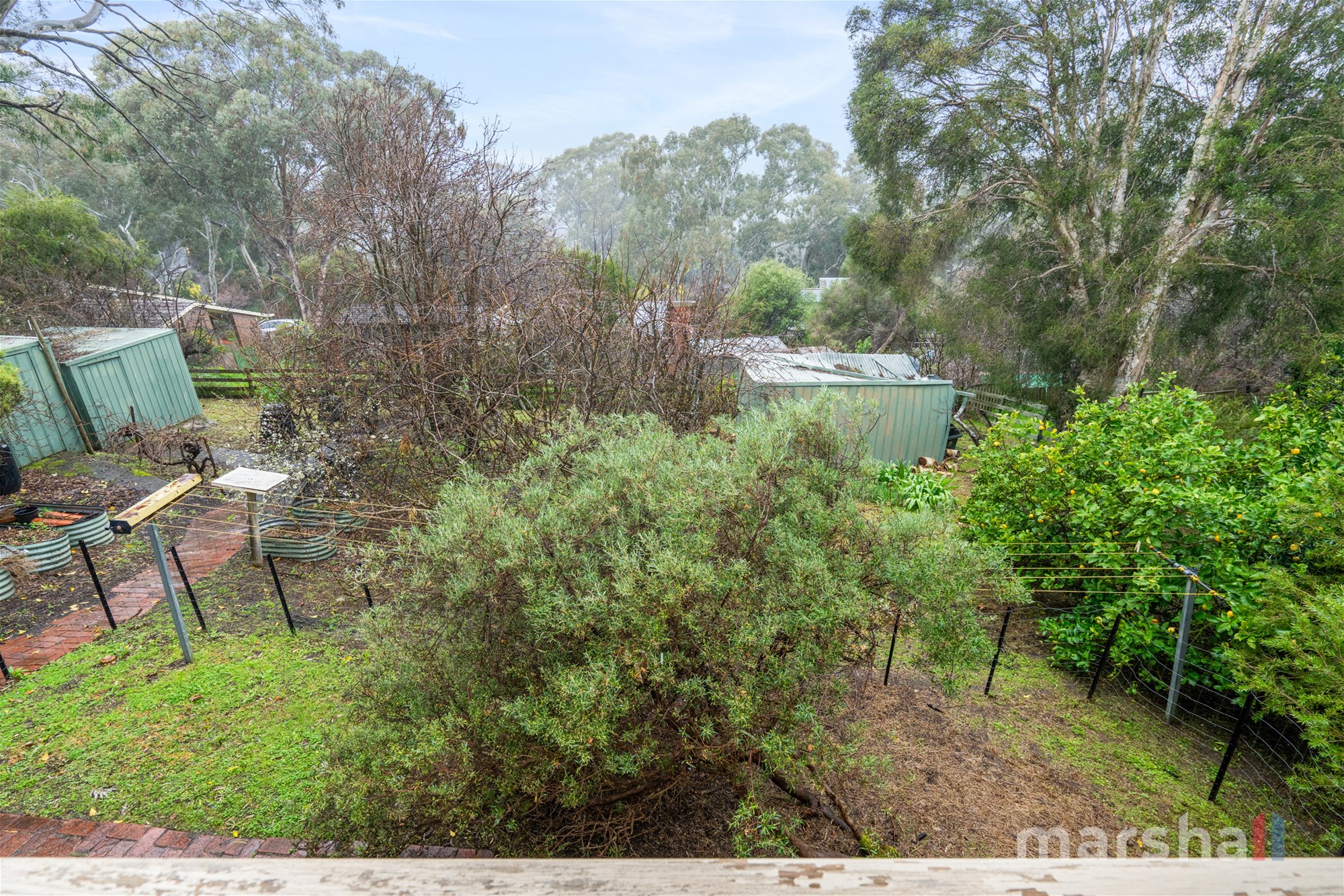 25 Diosma Drive, COROMANDEL VALLEY — image 34