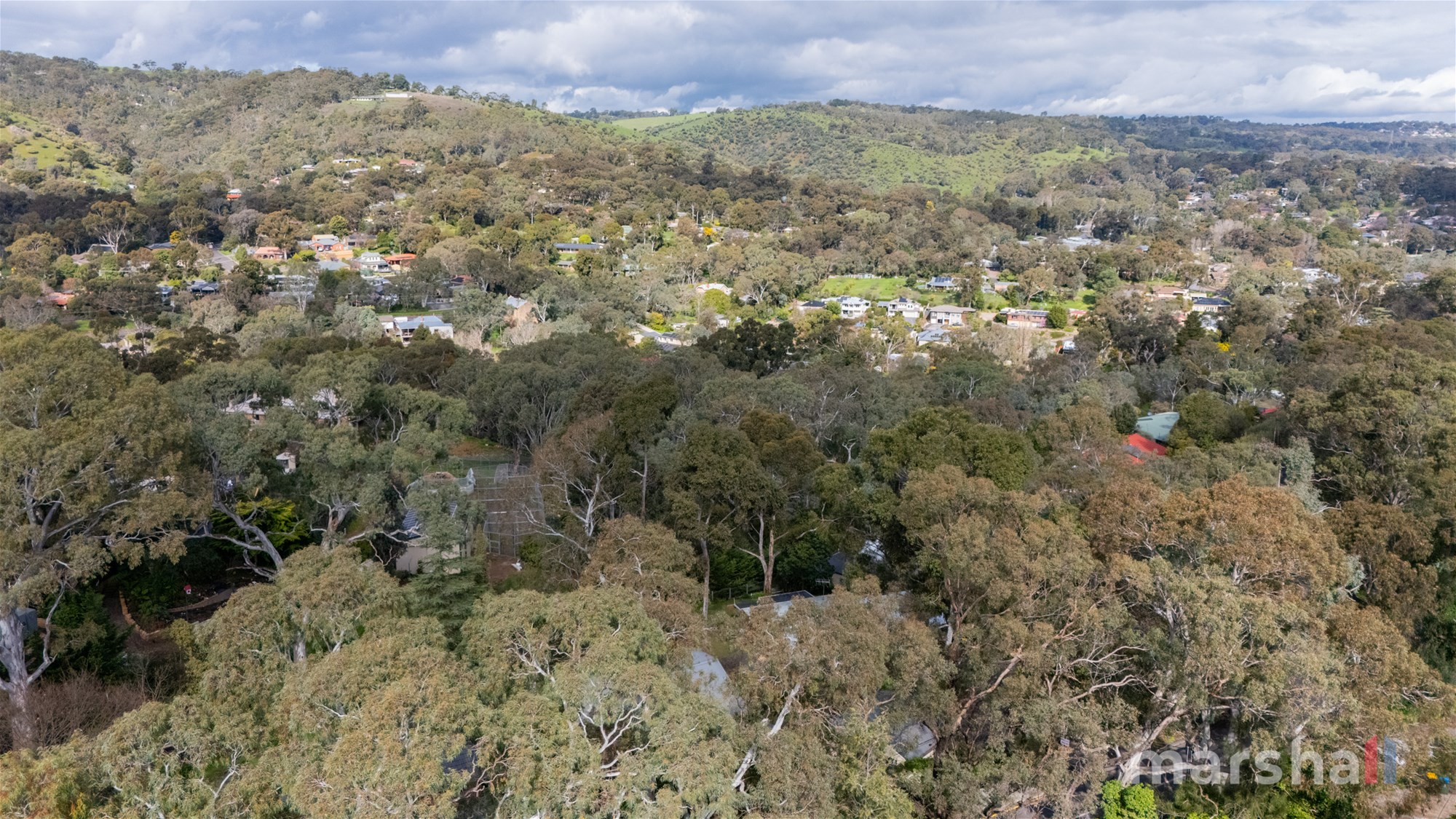 25 Diosma Drive, COROMANDEL VALLEY — image 40