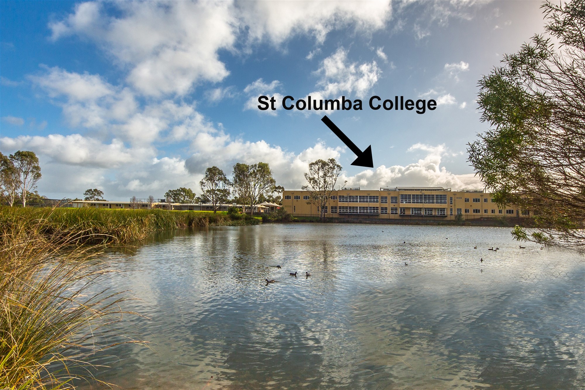 3 Ebenezer Court, ANDREWS FARM — image 25