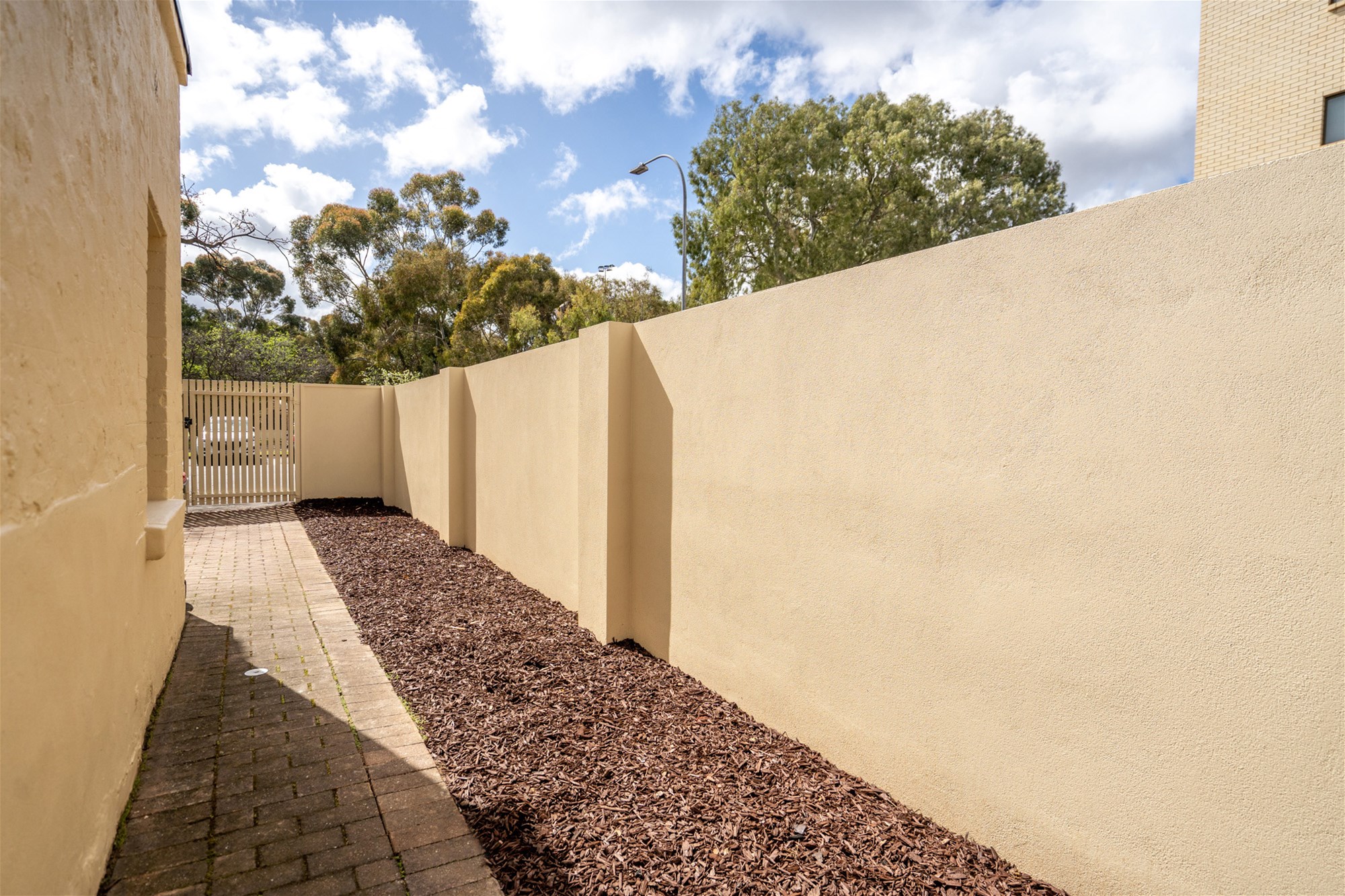 84  Mackinnon Parade, NORTH ADELAIDE — image 23