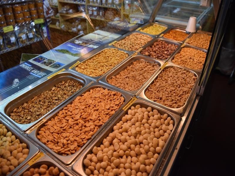 Tolga For Sale by Farmbuy.com - image 15