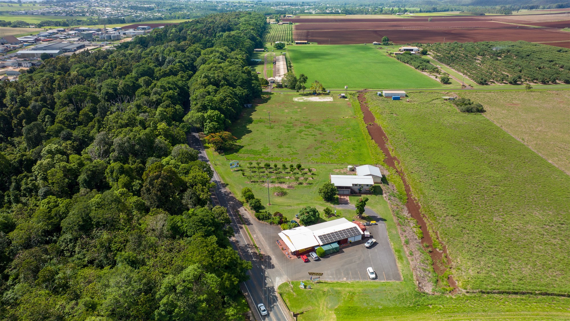 Tolga For Sale by Farmbuy.com - image 18