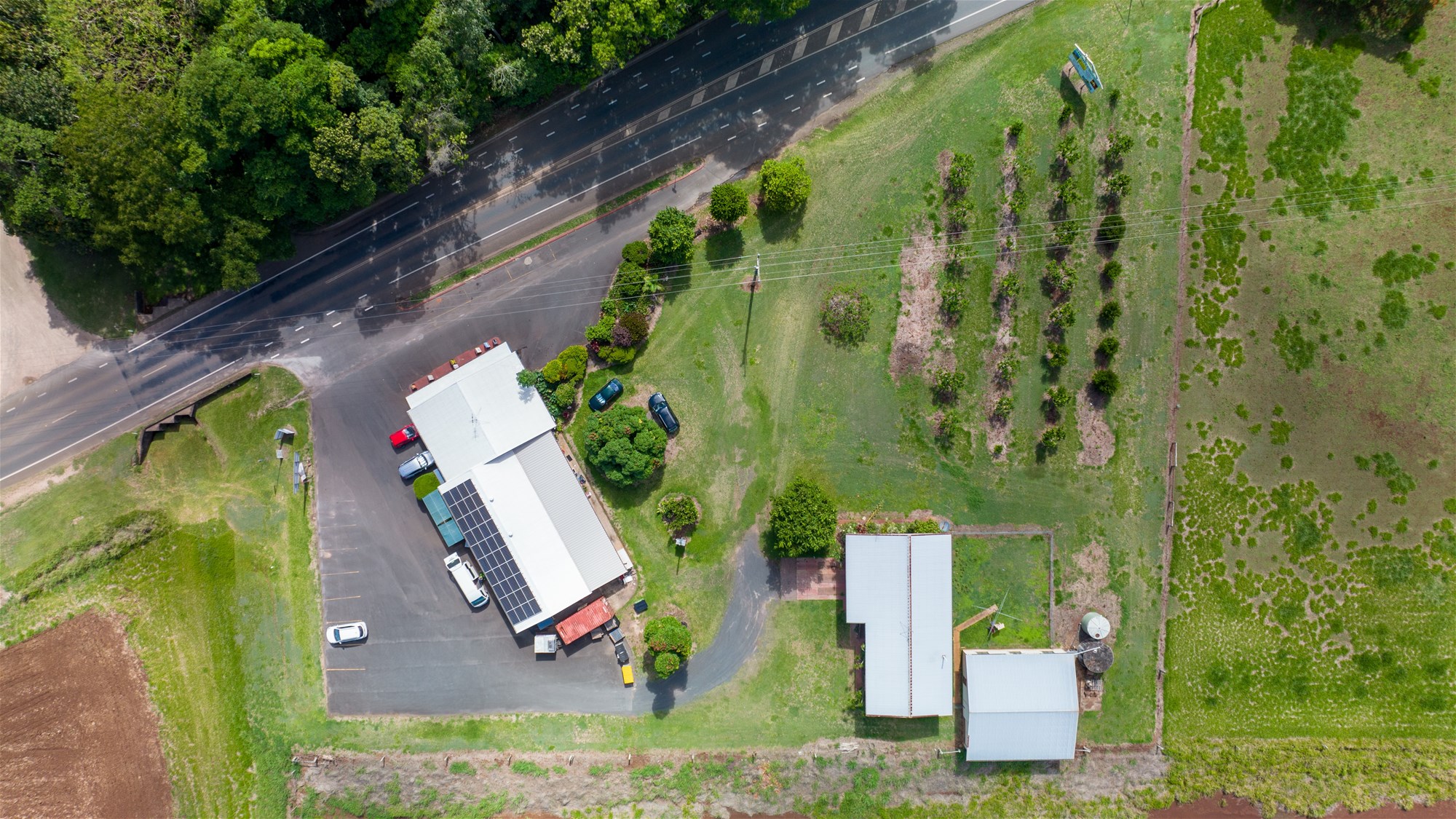 Tolga For Sale by Farmbuy.com - image 20