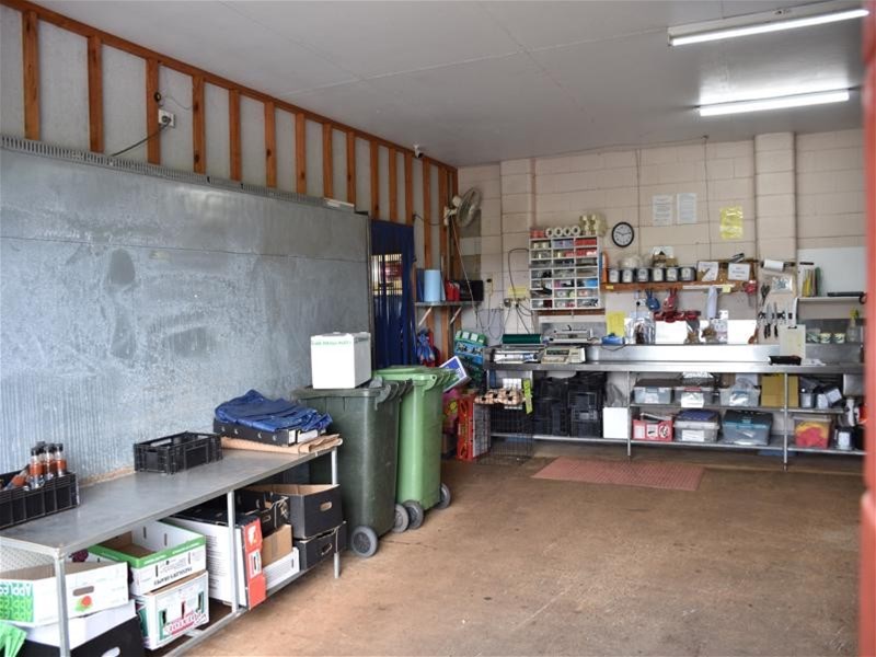 Tolga For Sale by Farmbuy.com - image 25