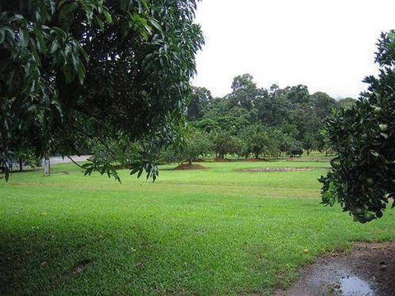 Tolga For Sale by Farmbuy.com - image 26