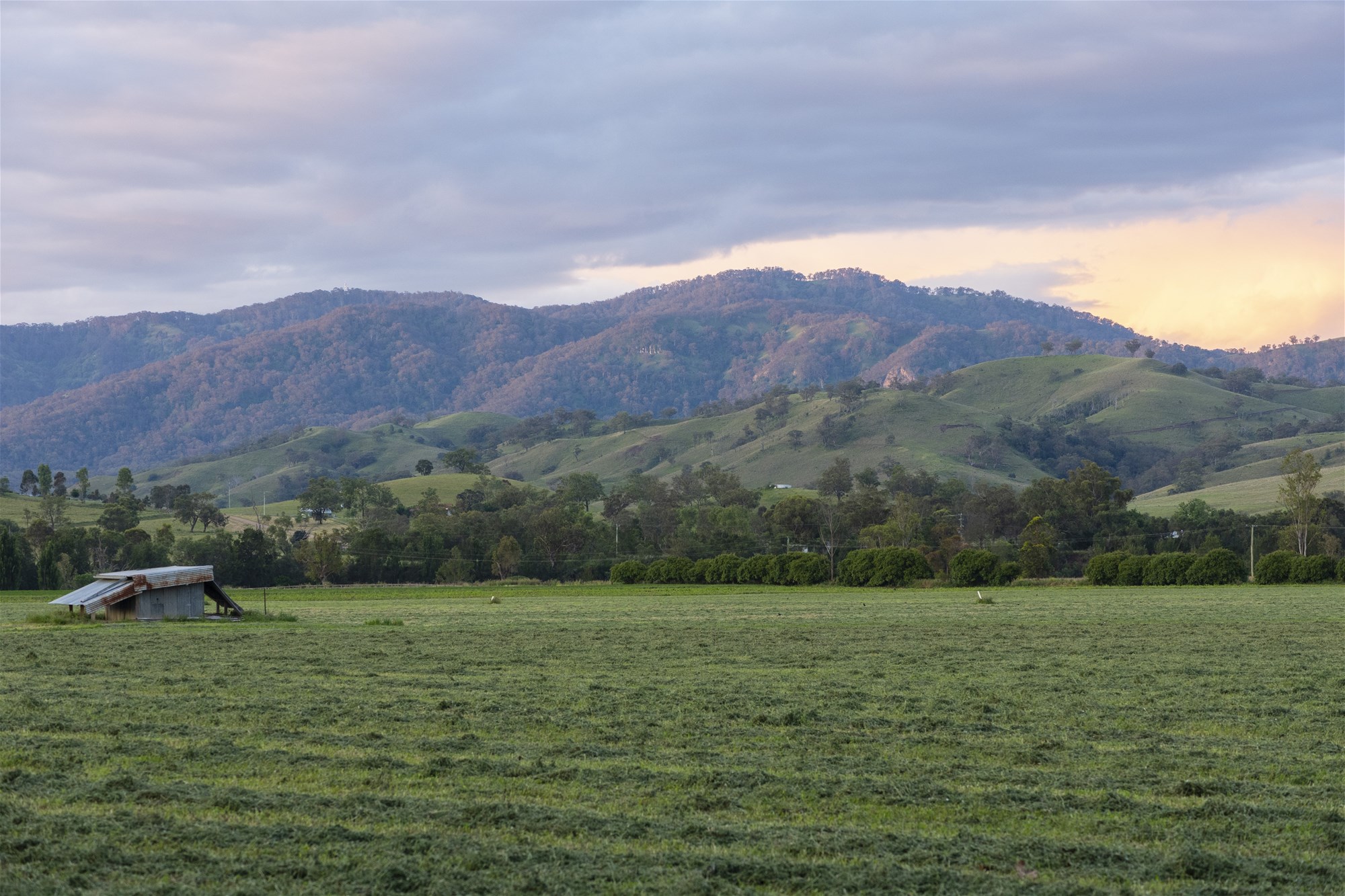 35 Leighton Park Road, Scone For Sale by Farmbuy.com - image 13