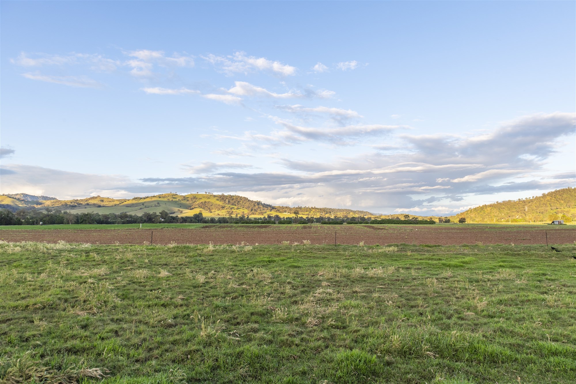 35 Leighton Park Road, Scone For Sale by Farmbuy.com - image 16