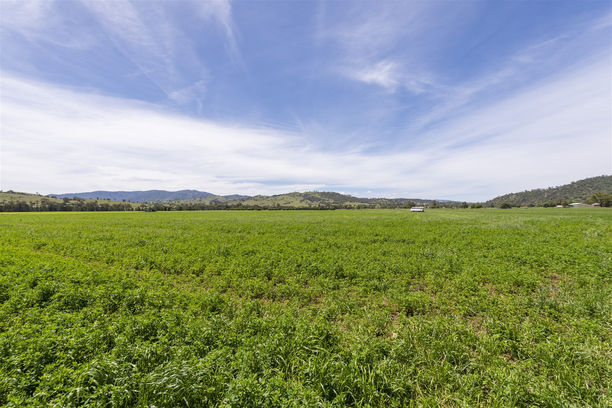 35 Leighton Park Road, Scone For Sale by Farmbuy.com - image 17