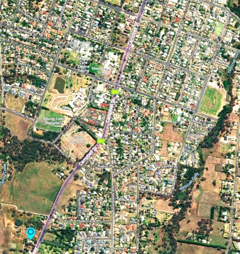 Young For Sale by Farmbuy.com - image 10