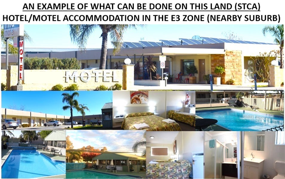 Young For Sale by Farmbuy.com - image 12