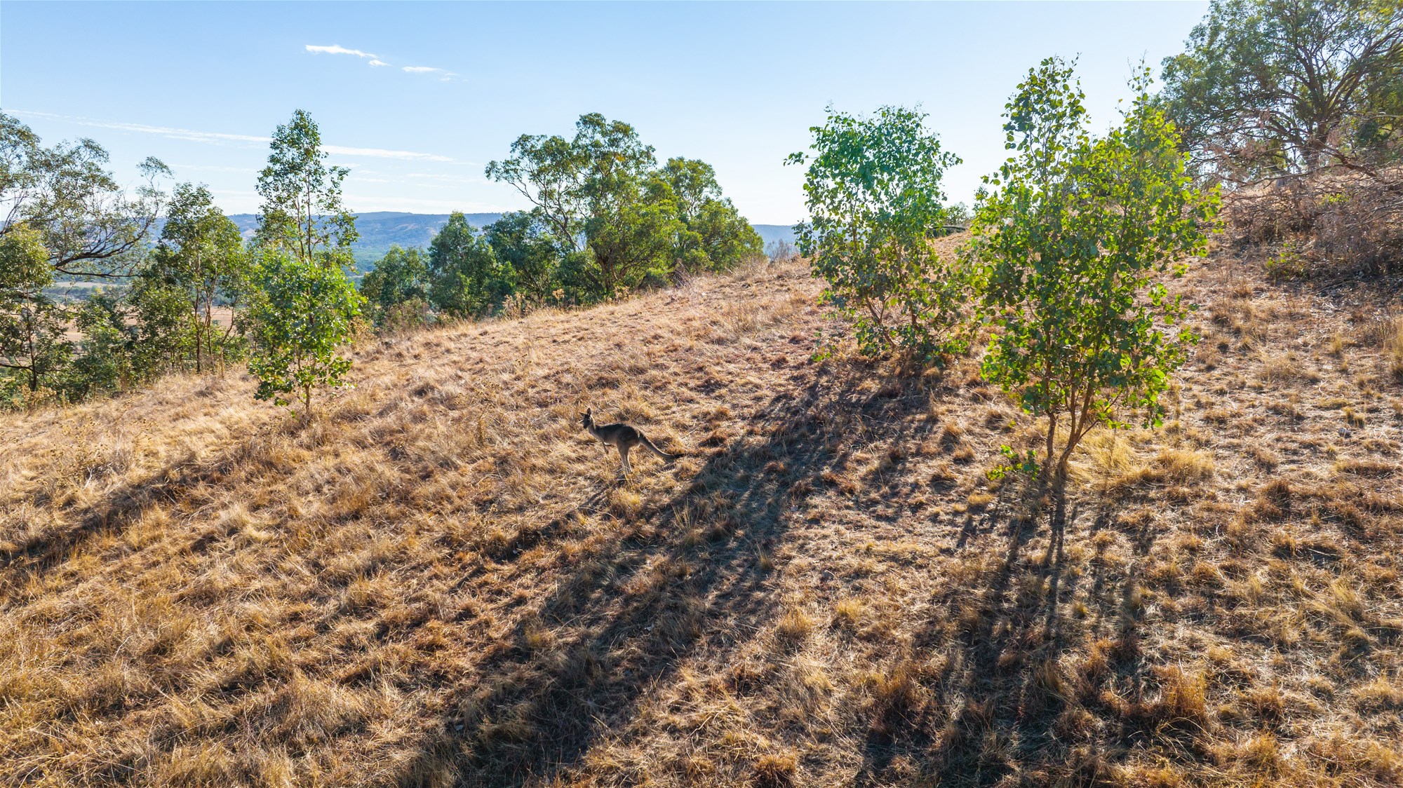 189 Coyles Road, Wodonga For Sale by Farmbuy.com - image 13