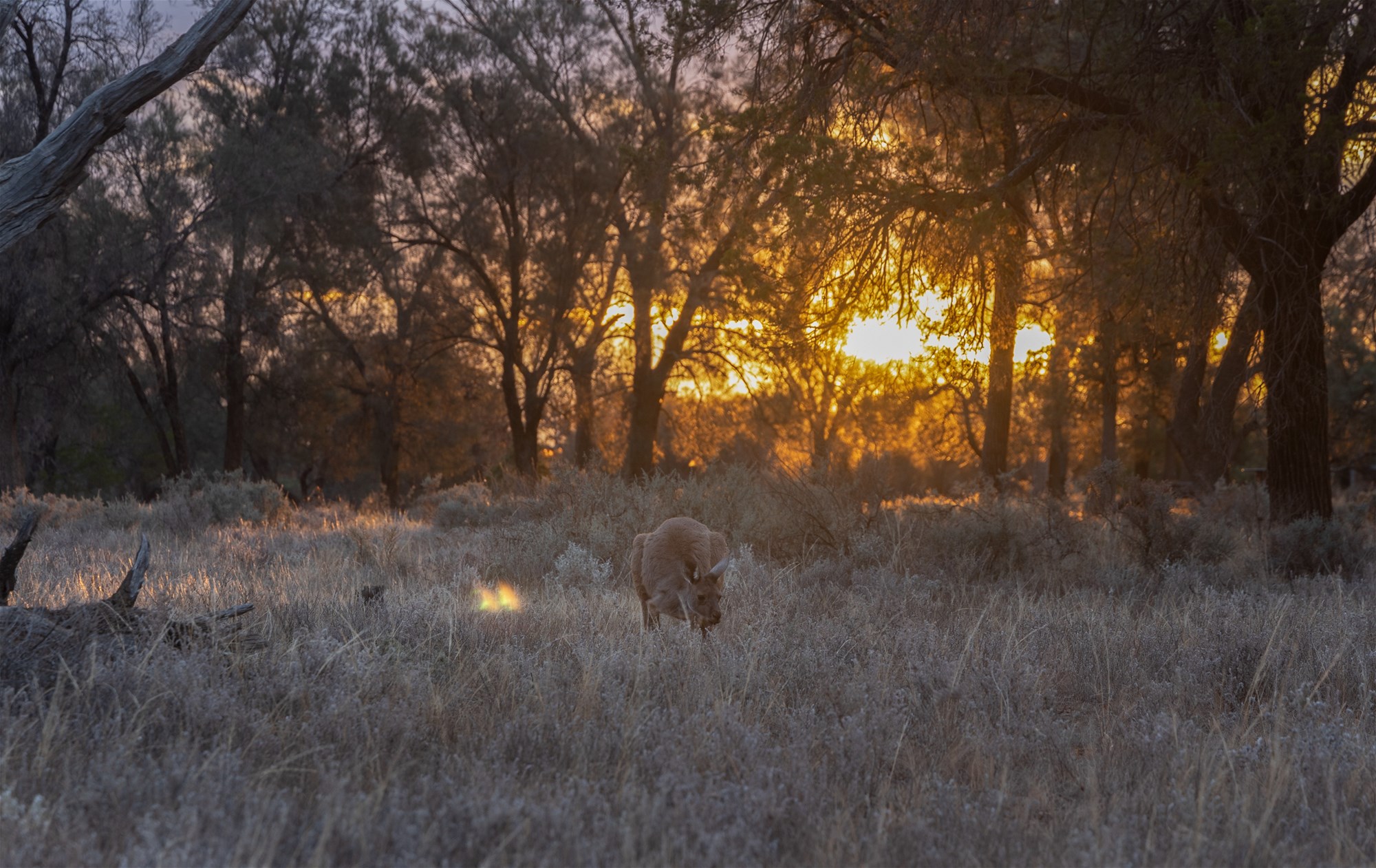 189 Coyles Road, Wodonga For Sale by Farmbuy.com - image 14