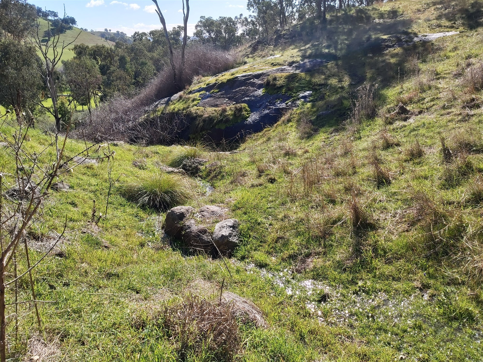 189 Coyles Road, Wodonga For Sale by Farmbuy.com - image 18