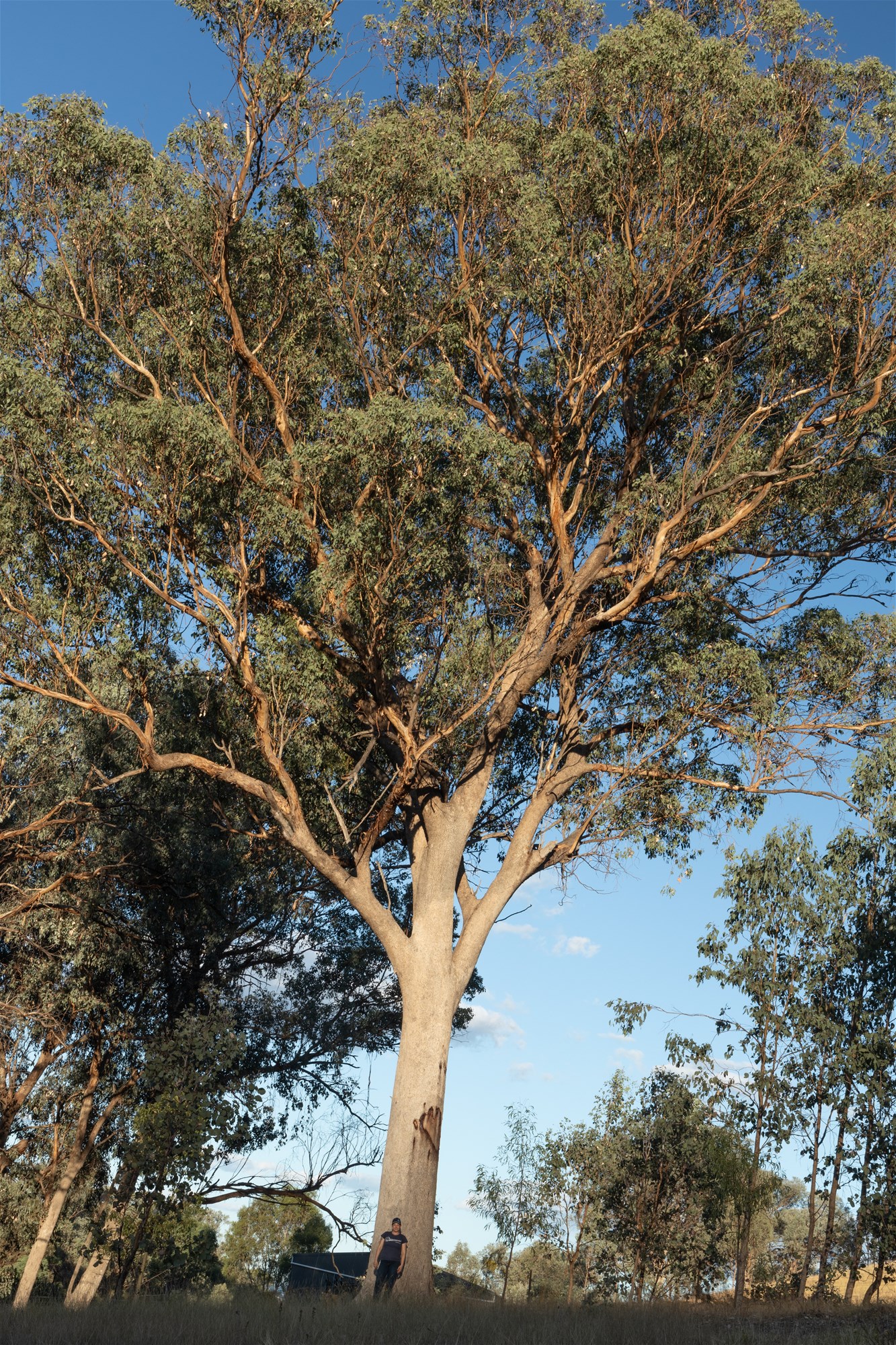 189 Coyles Road, Wodonga For Sale by Farmbuy.com - image 21