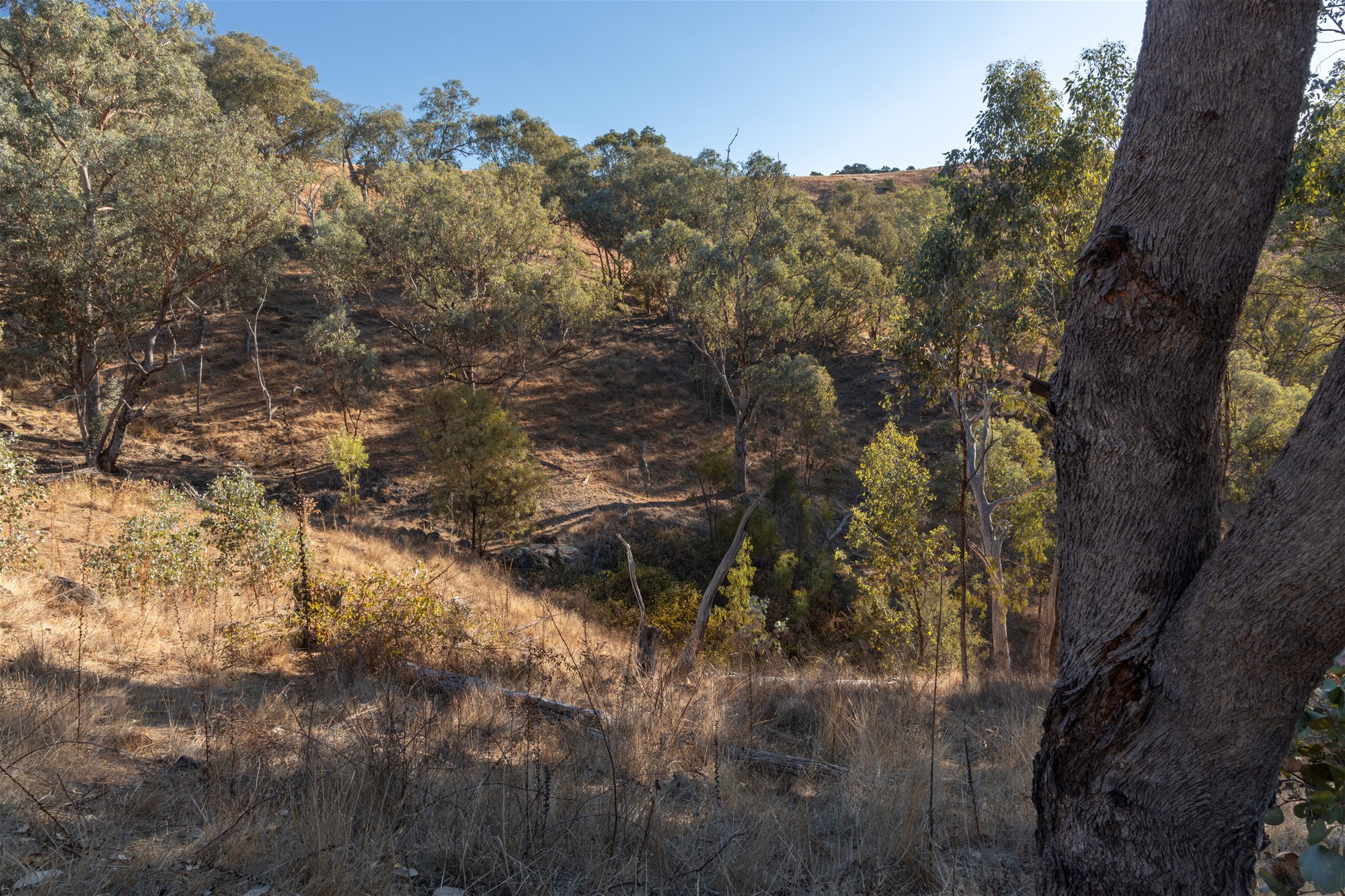 189 Coyles Road, Wodonga For Sale by Farmbuy.com - image 29