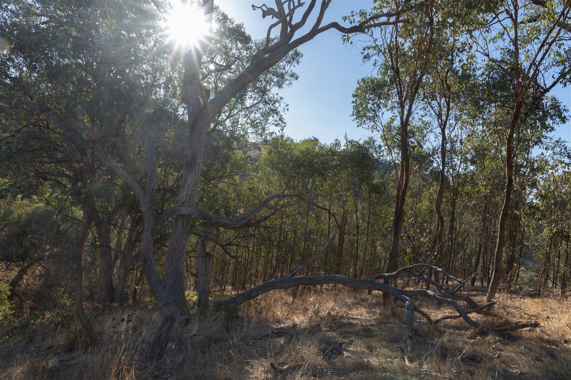 189 Coyles Road, Wodonga For Sale by Farmbuy.com - image 30