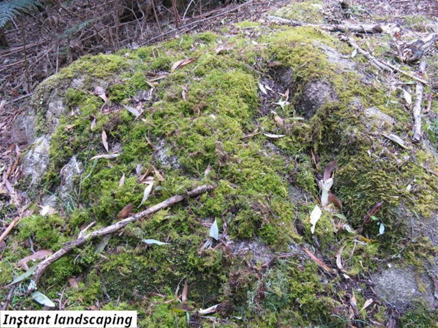 755 Lottah Road, Lottah For Sale by Farmbuy.com - image 6